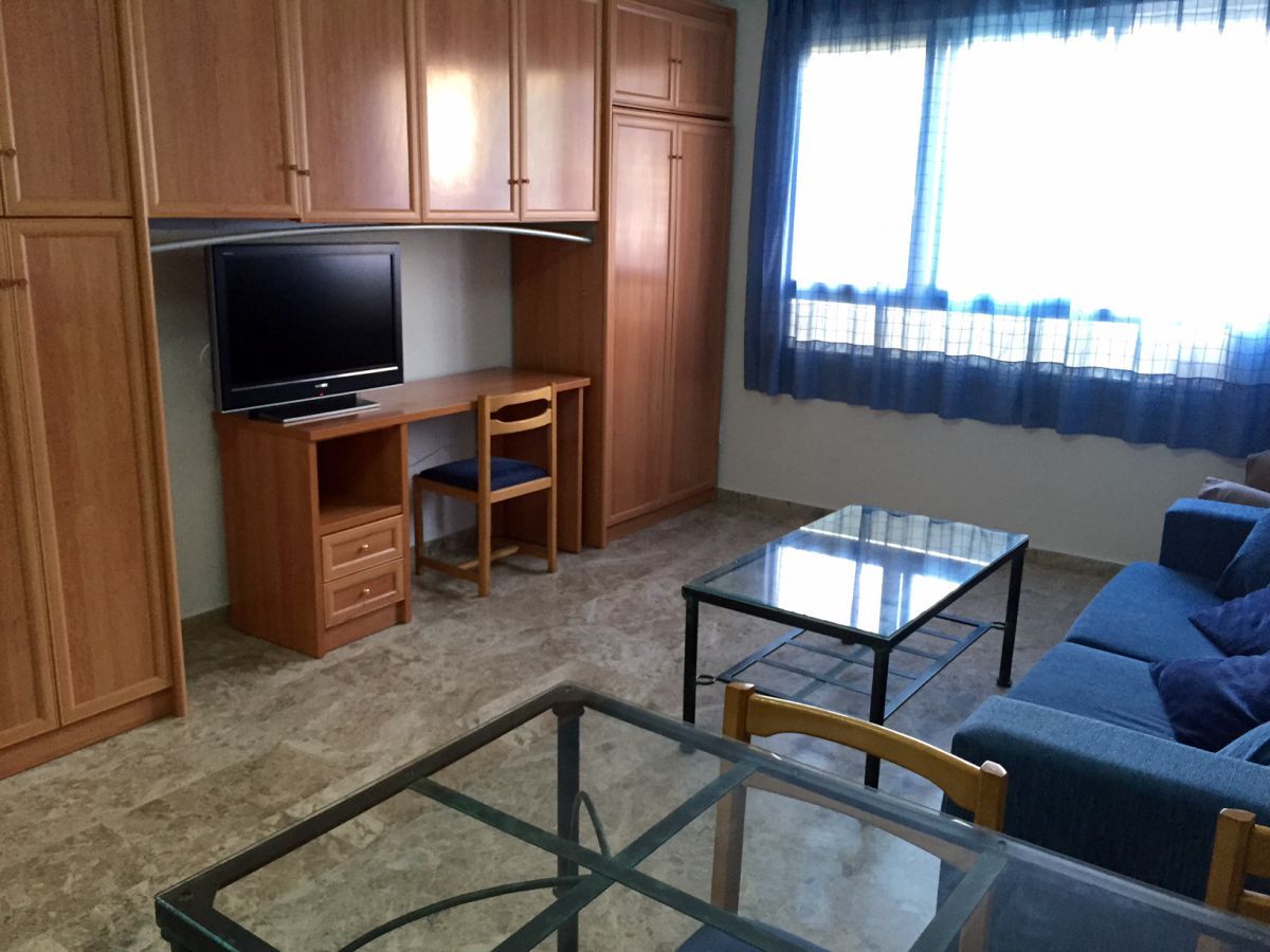 Sala de estar de Estudio de alquiler en Ciudad Real Capital con Aire acondicionado, Calefacción y Amueblado