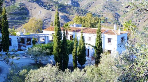 Casa de Campo entre Frigiliana y Torrox con casa de invitados y Bungalow, imatge 2