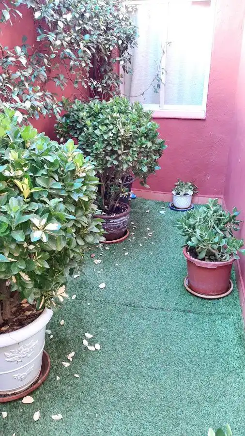 Terraza de Casa o chalet en venta en Valdepeñas con Calefacción, Terraza y Piscina