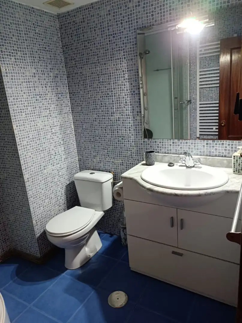 Bathroom of Flat for rent in Oviedo   with Heating, Furnished and Oven