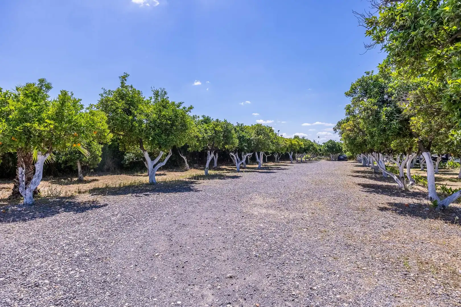 Finca rústica en venda en Sanlúcar la Mayor amb Calefacció, Jardí privat i Terrassa