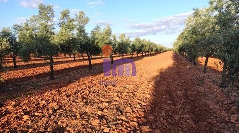 Finca Rúst. en venta en Moral De Calatrava., imatge 3