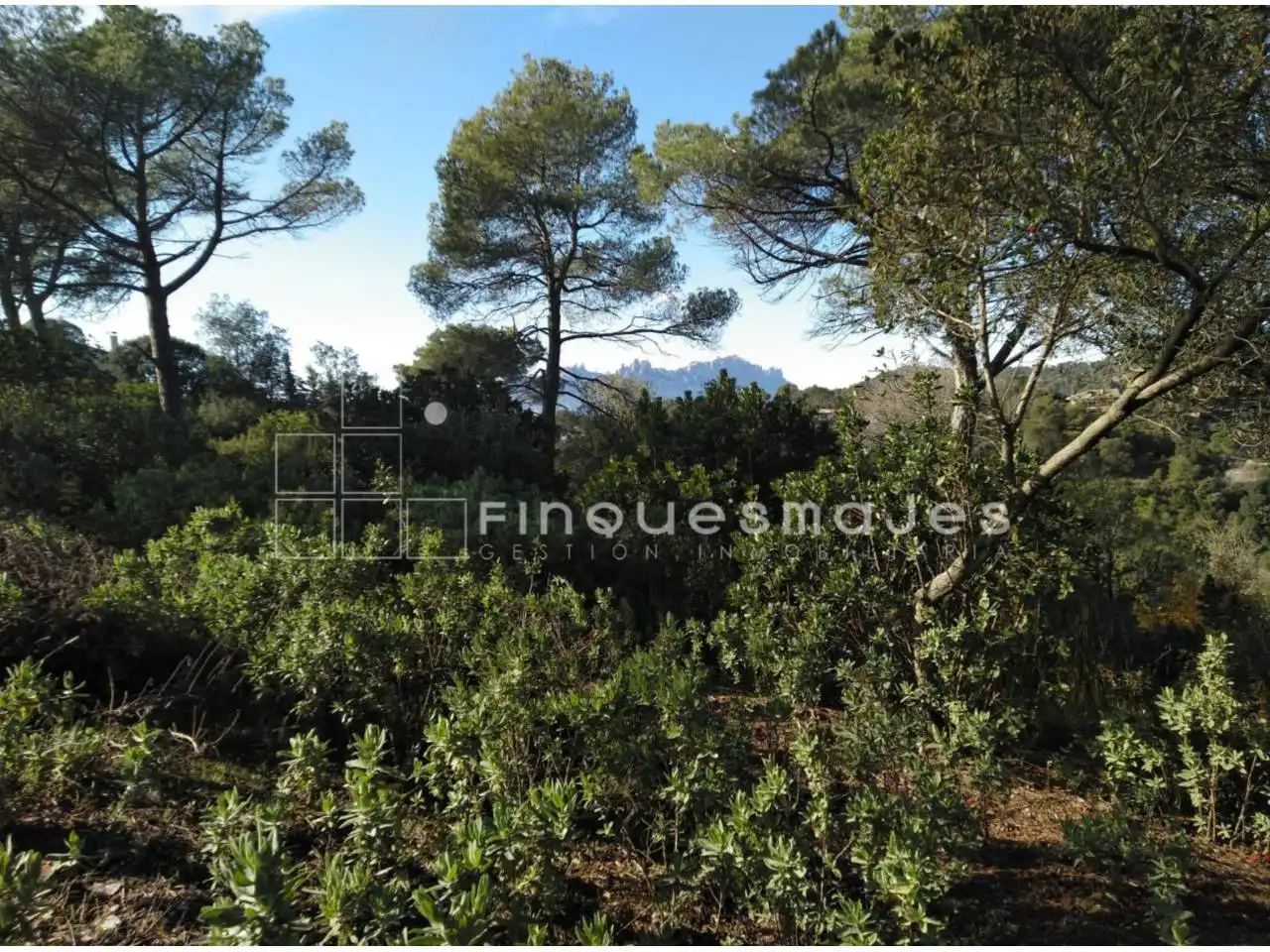 Terreno residencial en venta en Vacarisses, imagen 10