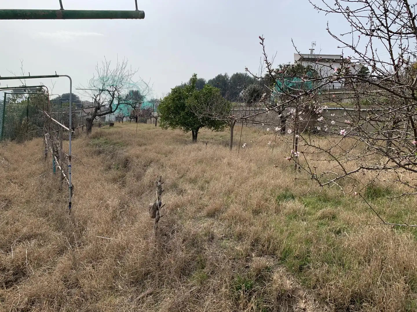 Terrenos y solares en venta en Calle SANTA LAURA, imagen 27
