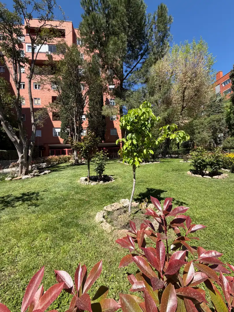 Gewerbefläche zum Verkauf in Calle de Luis de Hoyos Sainz, imagen 23