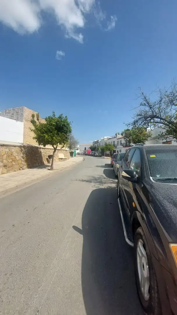 Exterior view of Houses for sale in La Puebla de Cazalla