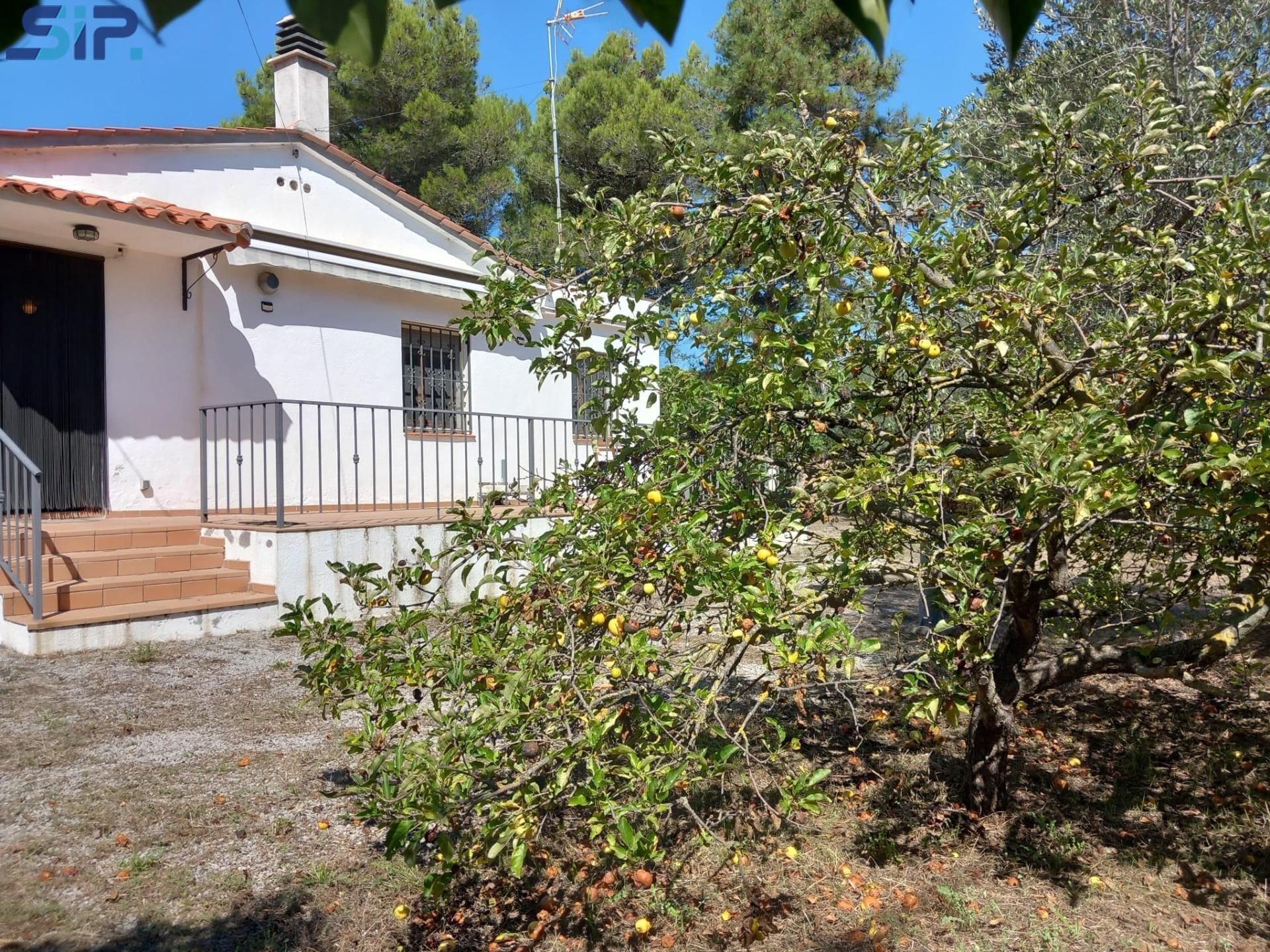 Jardí de Casa o xalet en venda en Torrelles de Foix amb Jardí privat i Alarma