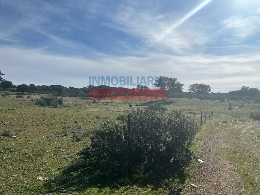 Finca rústica en venda en Puerto de San Vicente