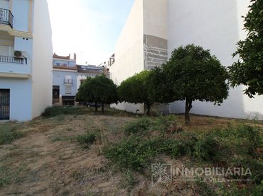 Terreno residenziale in vendita a Calle Antonio Talavera Sa