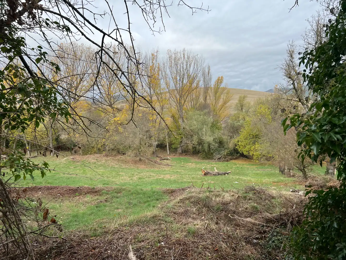 Terreni e lotti in vendita a Poblaciones norte, imagen 23