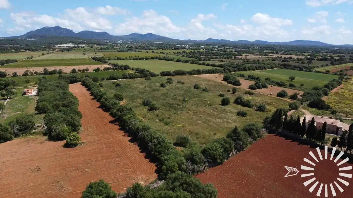 Rural land for sale in Pologino 3 Parcela 107, imagen 21
