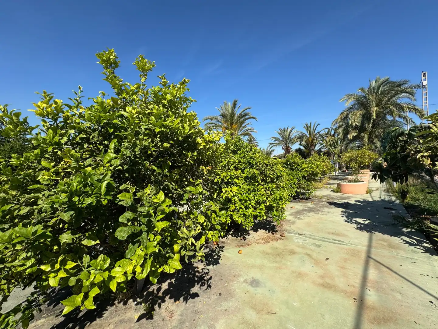 House with pool for sale in Perleta - Maitino, imagen 7