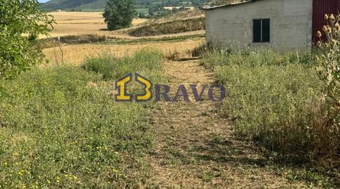 TERRENO CON CABAÑA EN VENTA VALLE DE TOBALINA, imatge 3