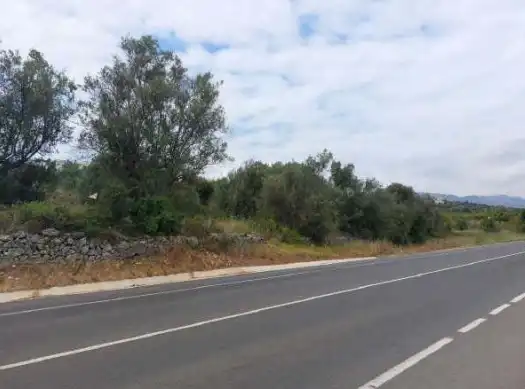 Land for sale in Orba