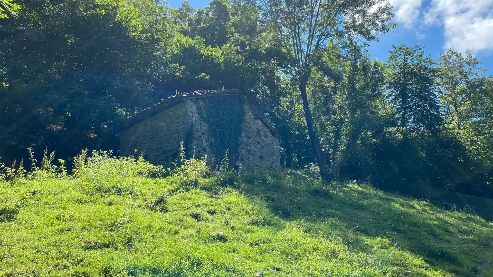 Terreno en venta en PRIESCA, Ponga