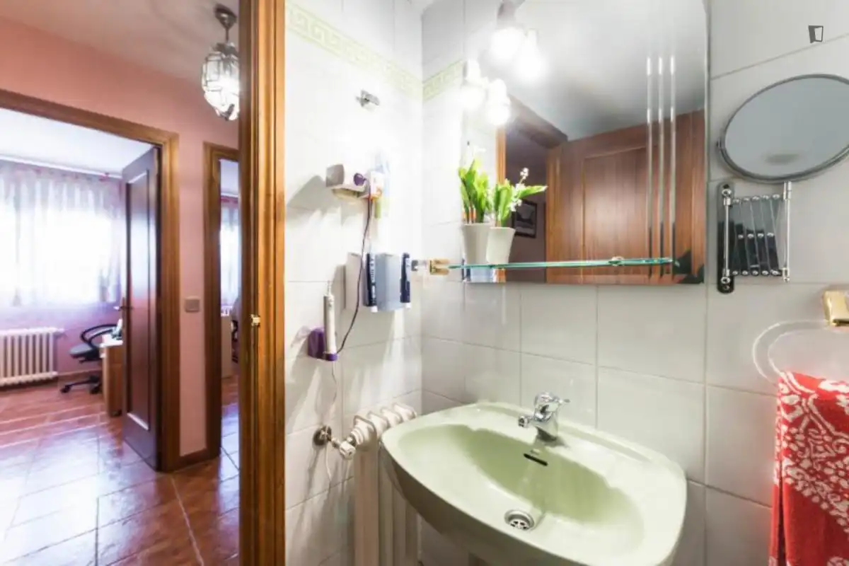 Bathroom of Apartments for rent in Madrid  with Air Conditioner, Heating and Furnished