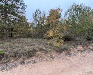 Land for sale in Santa Coloma de Queralt