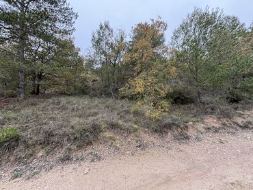 Terreno rustico in vendita a C-241d 6B