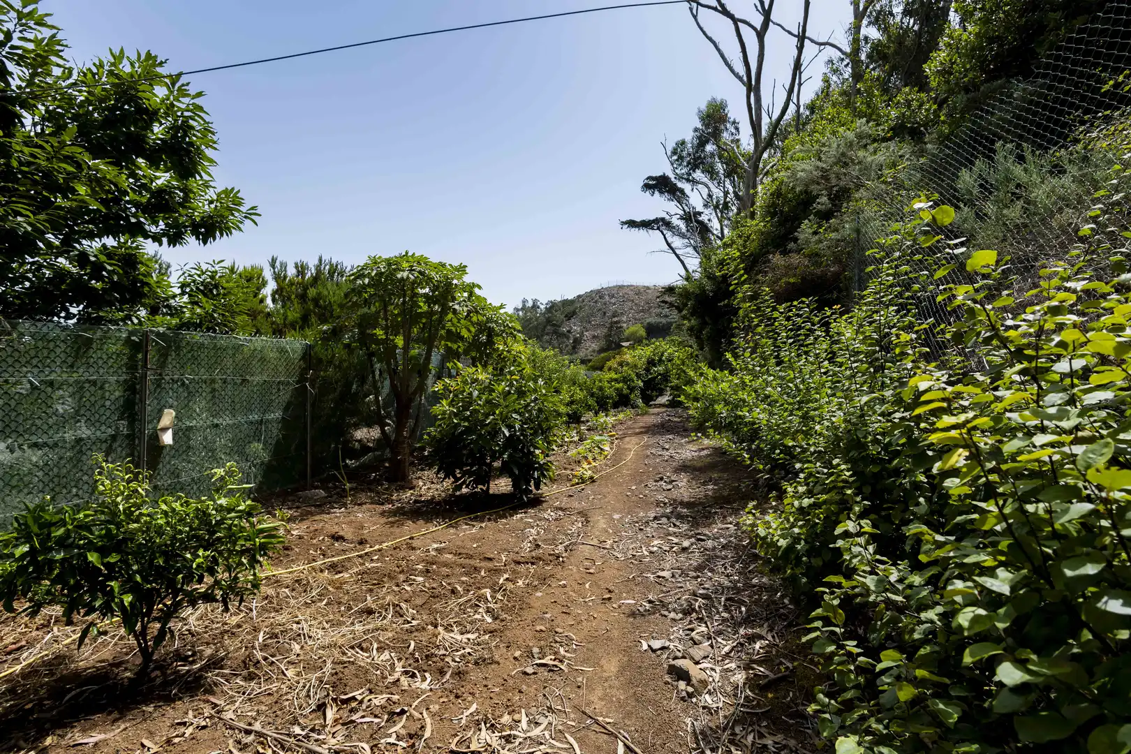 Rural land for sale in Tegueste, imagen 29
