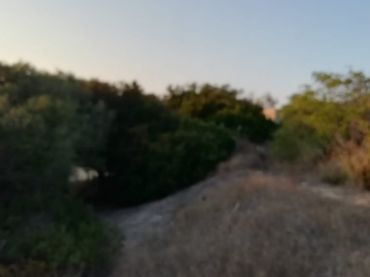 Casa rústica en venta en Vejer