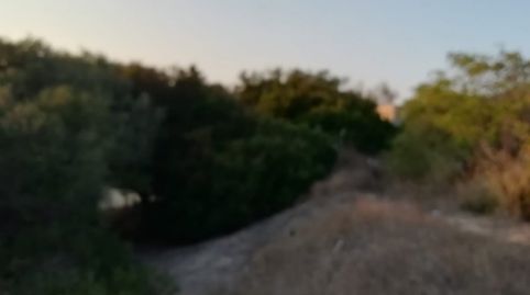 FINCA RÚSTICA EN LA ZONA DEL ABEJARUCO
