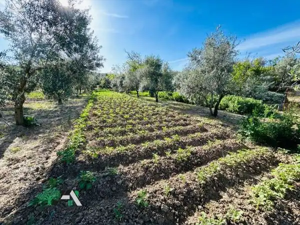 Terreni e lotti in vendita a Baeza, imagen 19