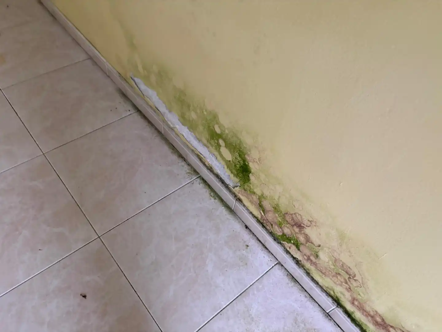 Casa o xalet en venda en Cabana de Bergantiños amb Balcó