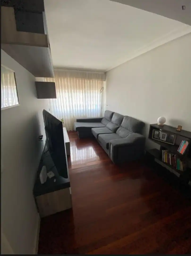 Living room of Apartments for share in Bilbao   with Furnished, Oven and Washing machine