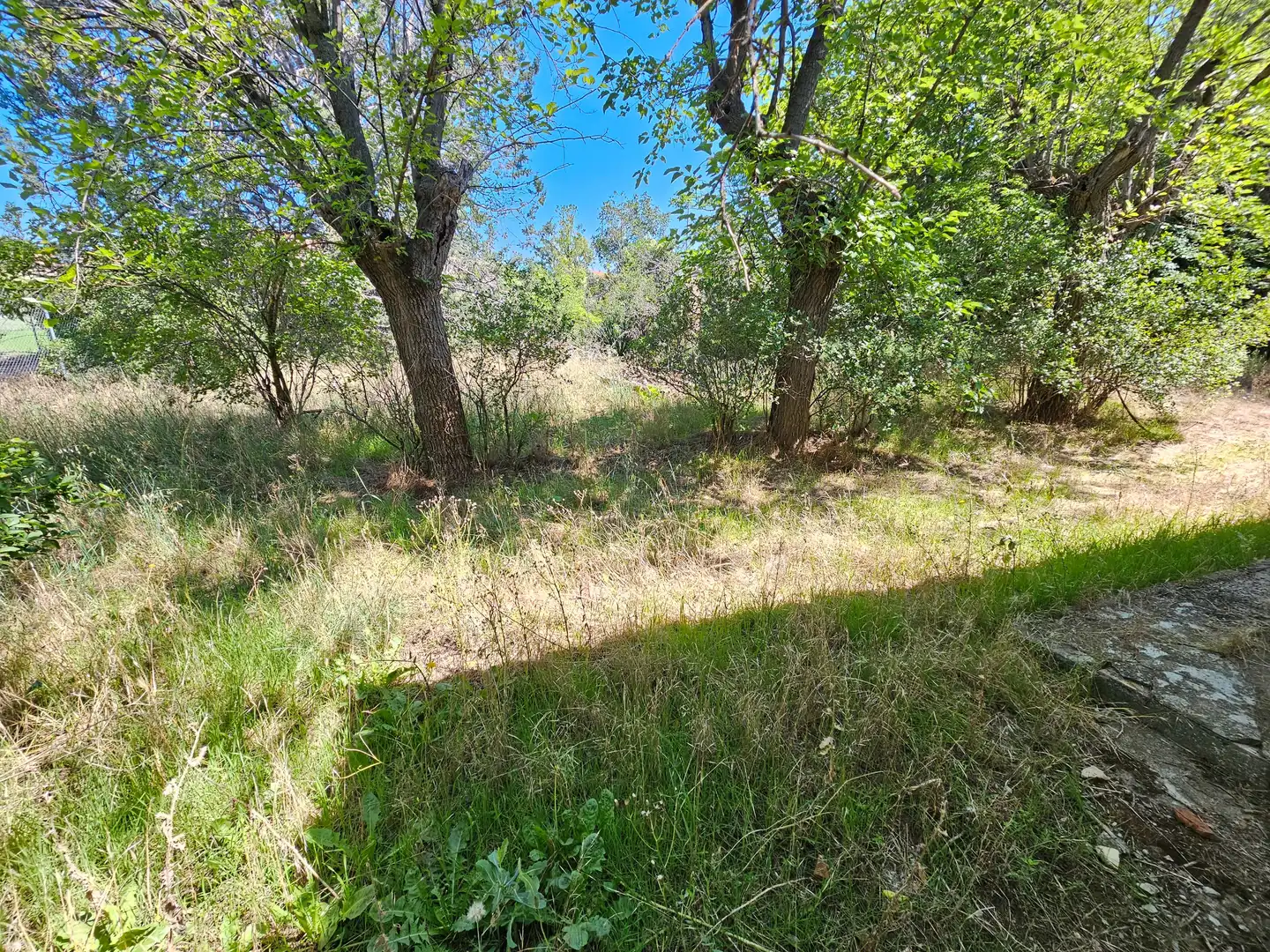 Country homes for sale in Torrelaguna