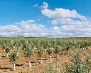 Finca rústica en venda en  Jaén Capital