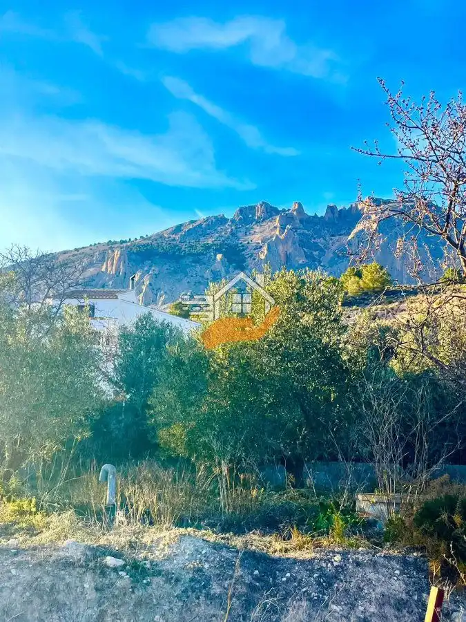 Residential land for sale in Vélez-Rubio, imagen 8
