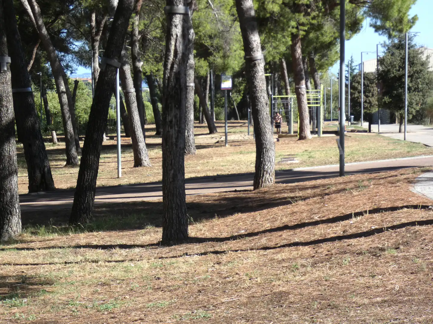 Vista exterior de Ático en venta en Terrassa con Calefacción, Terraza y Balcón