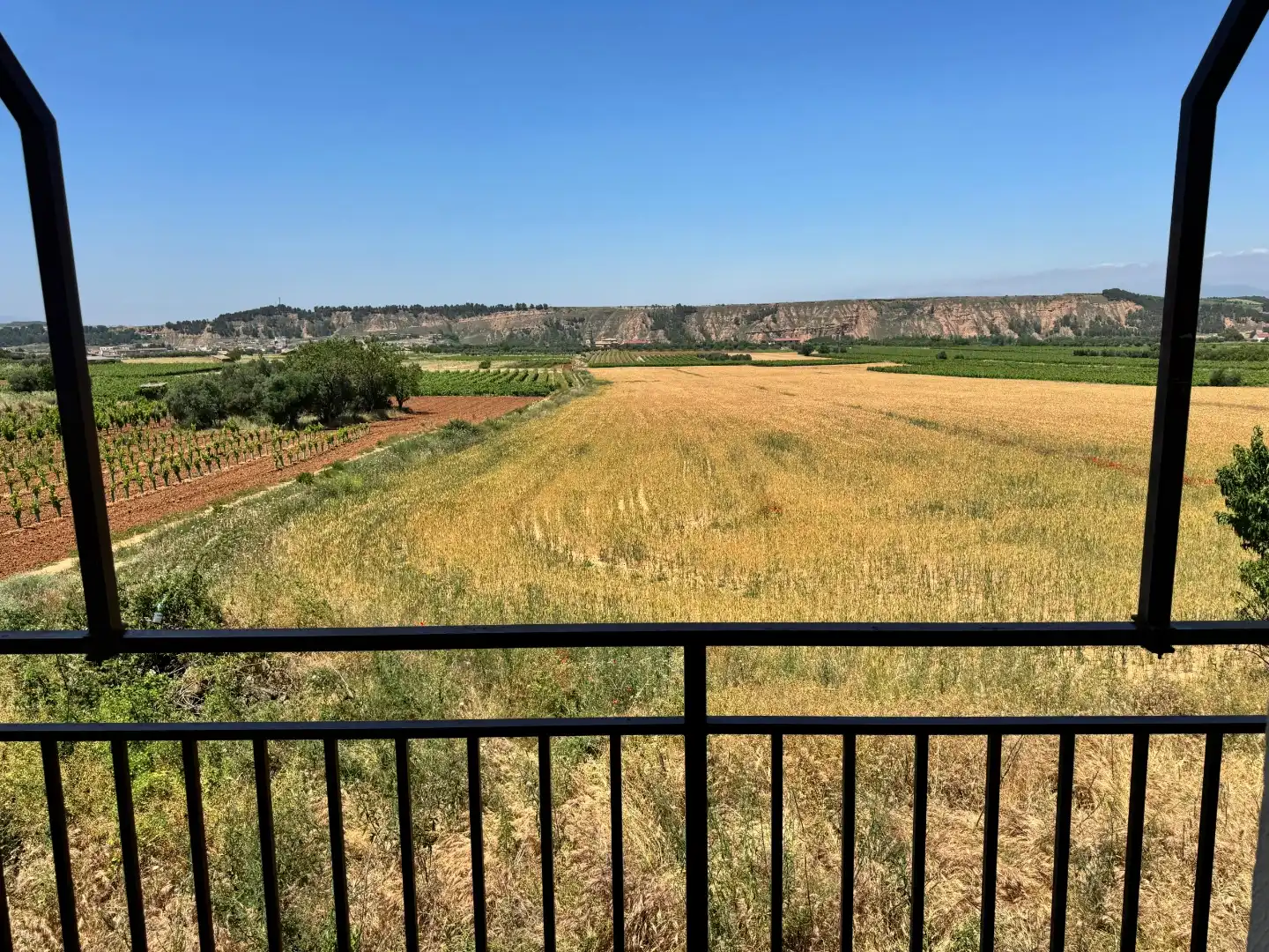 Land for sale in Murillo de Río Leza