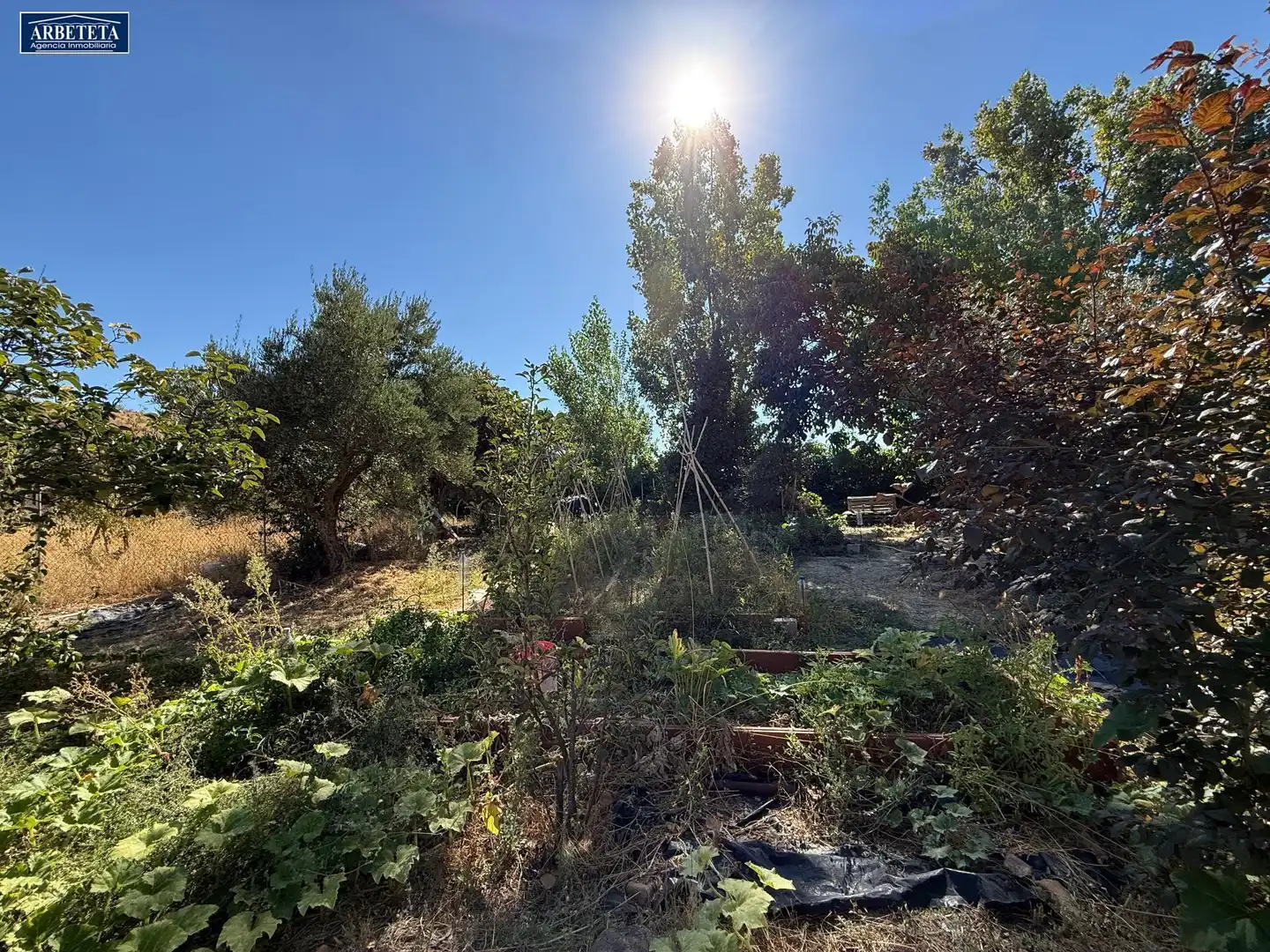 Maison rustique avec jardin à vendre à Humanes, imagen 54