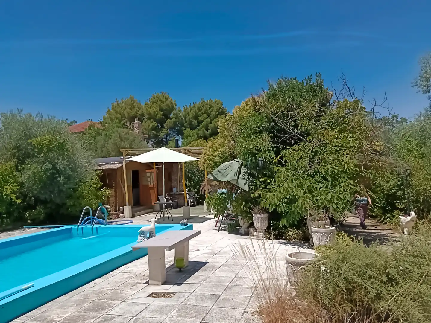 Piscina de Casa o xalet en venda en Illana amb Jardí privat, Terrassa i Piscina