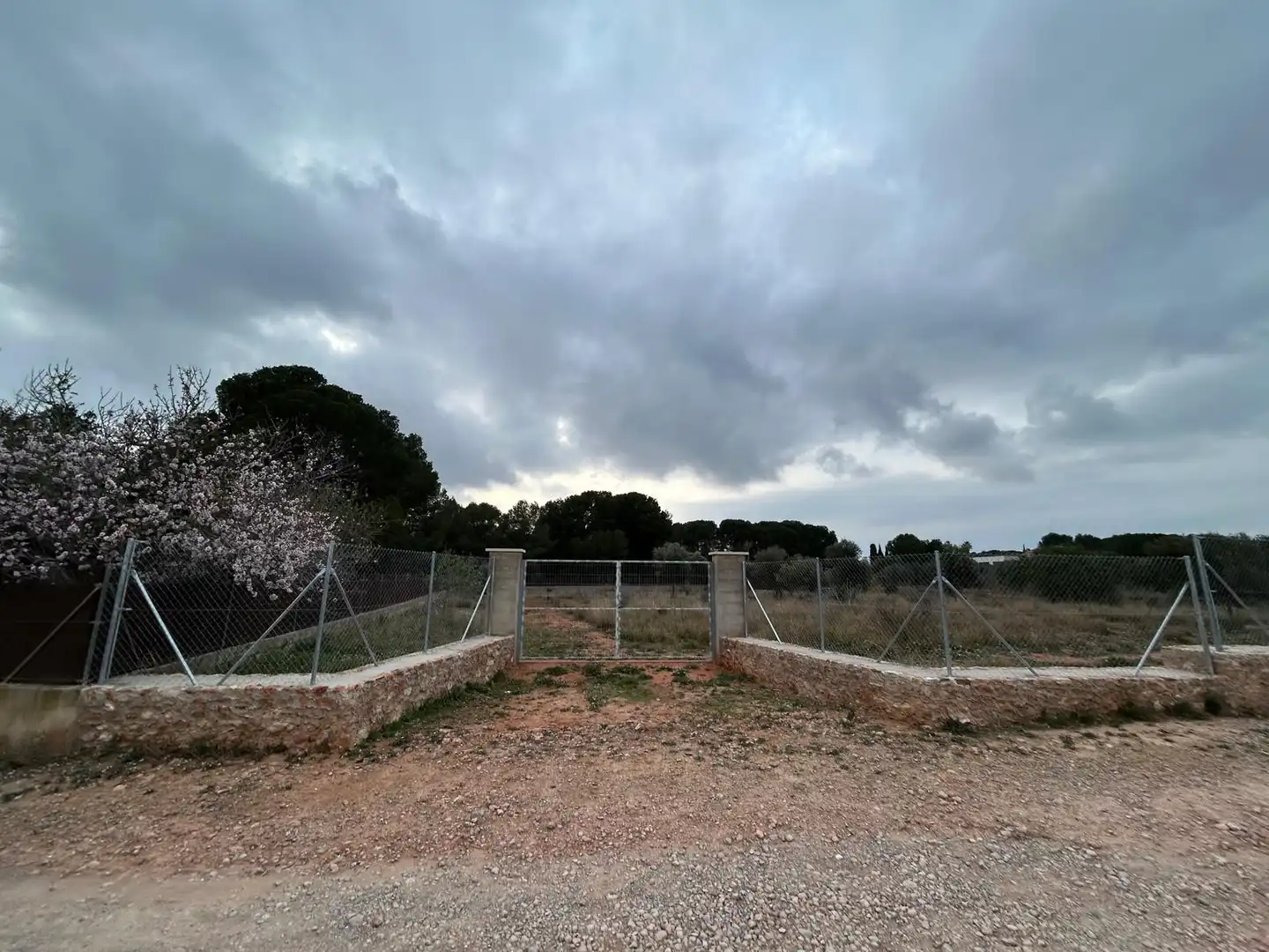 Terreno rustico in vendita a Los Pinares - La Masia