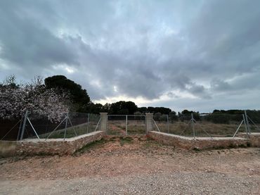 Terreno rustico in vendita a Los Pinares - La Masia
