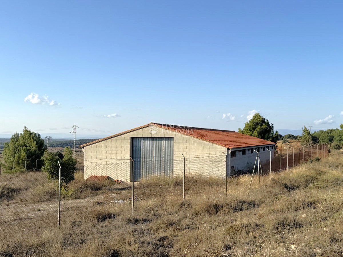 Industrial buildings to rent in Barracas