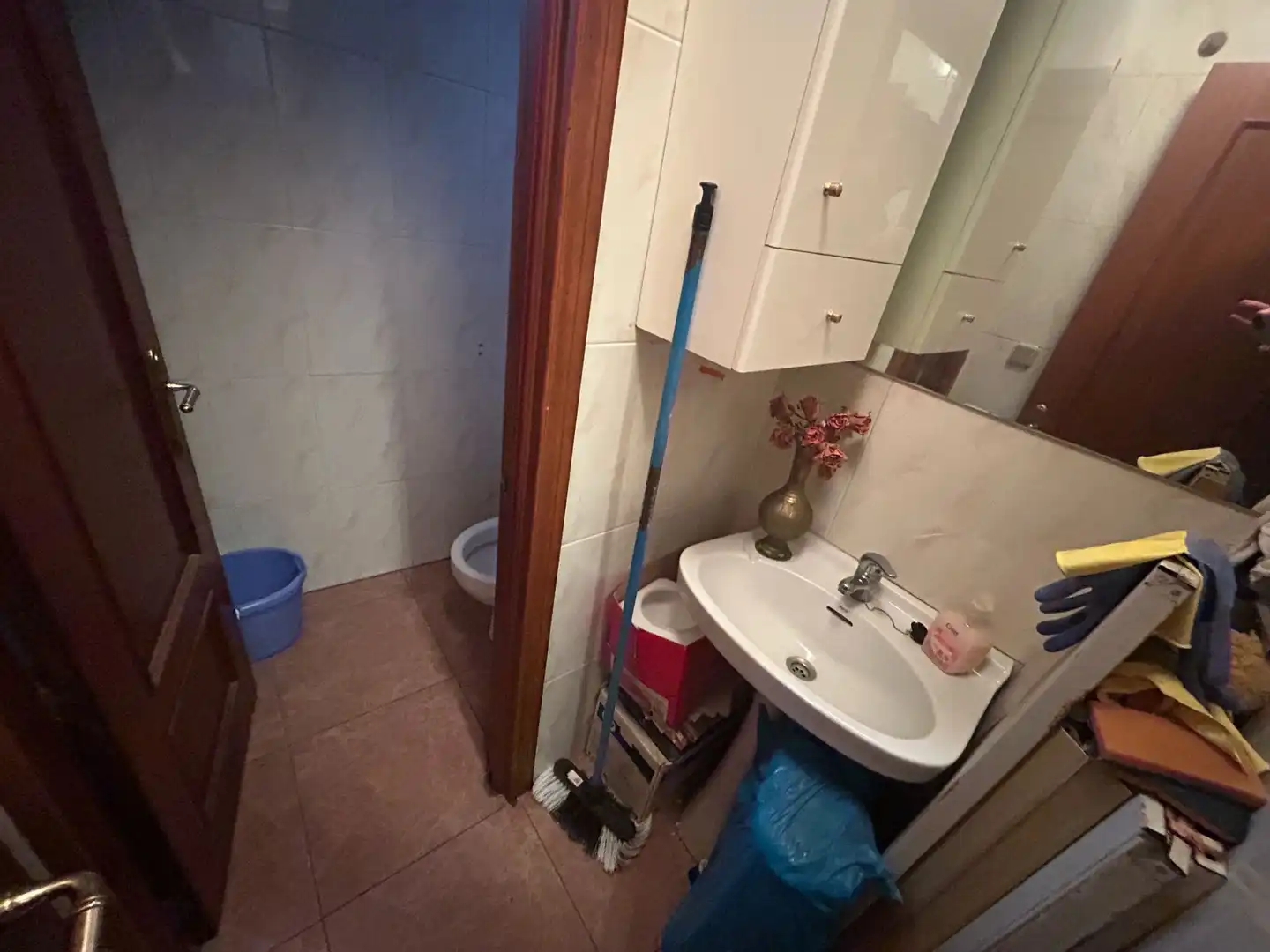 Gewerbefläche zur Miete in Colonia, imagen 10
