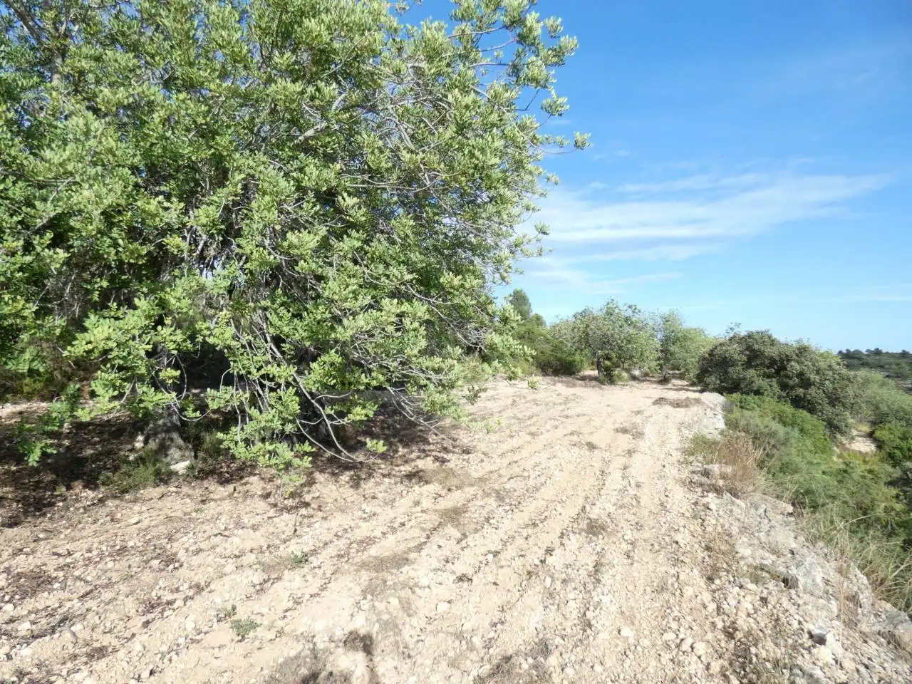 Rural land for sale in Calle POLIGONO 36   419, imagen 3