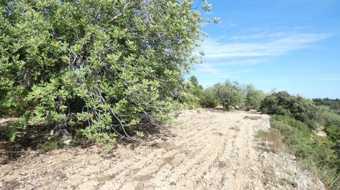 Terreno en venta en Cervera del Maestre!, imatge 3