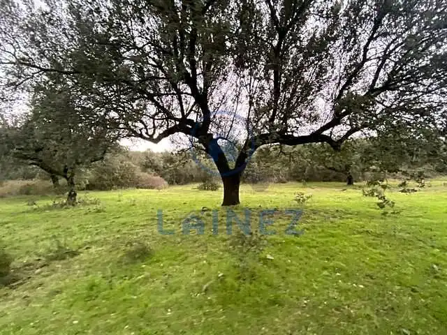 Residential land for sale in Fuente Obejuna, imagen 21