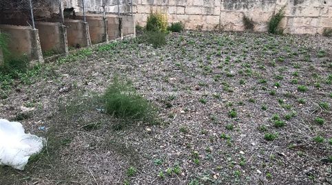 solar centrico en Muro, immagine 5