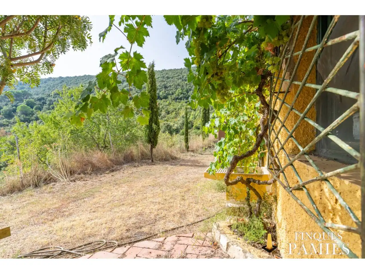 Garden of Country homes for sale in La Selva del Camp  with Private garden, Terrace and Swimming Pool