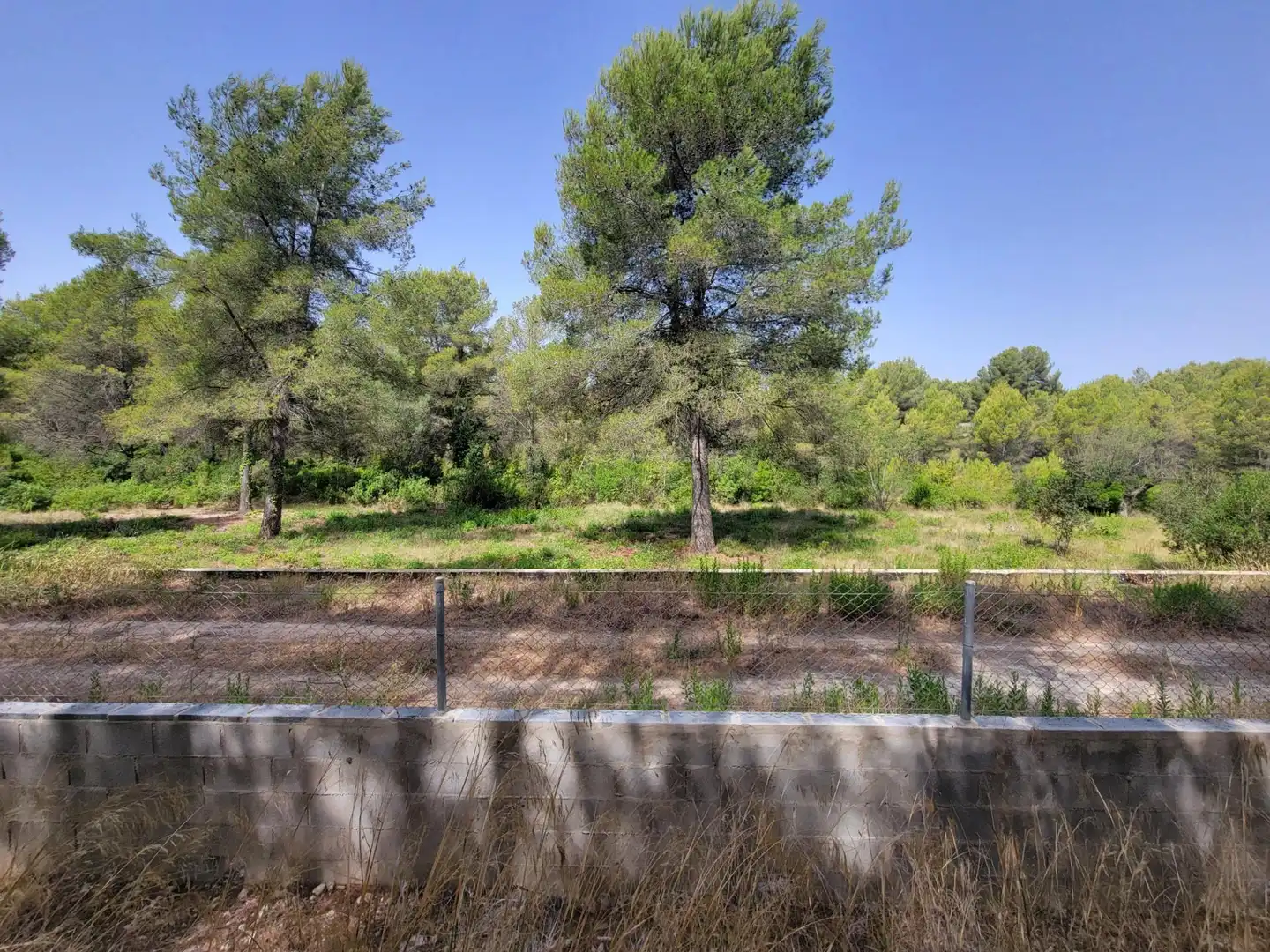 Lands and plots for sale in Avenida dels Pirineus, imagen 39