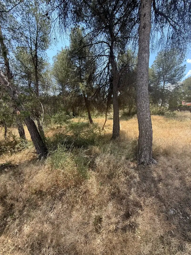 Terrenos y solares en venta en Cañada, imagen 5