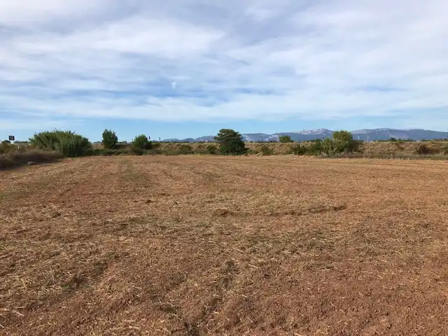 Terreny rústic en venda a Navarrete, imagen 4