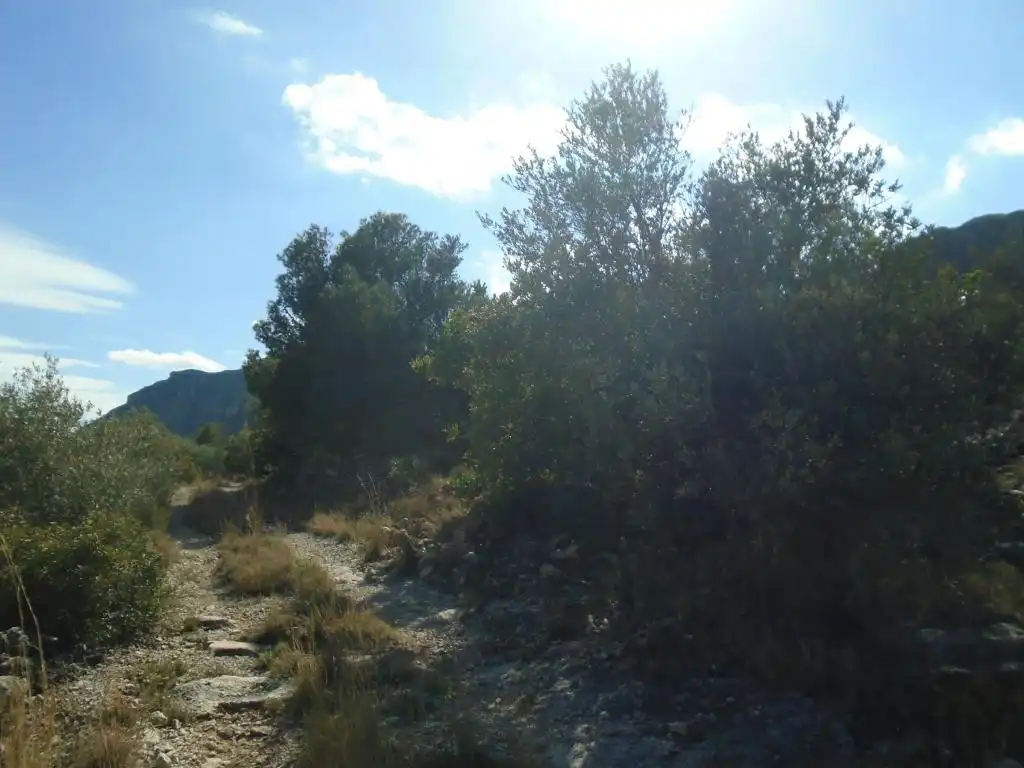 Residential land for sale in Vall D'En Pasto, imagen 6