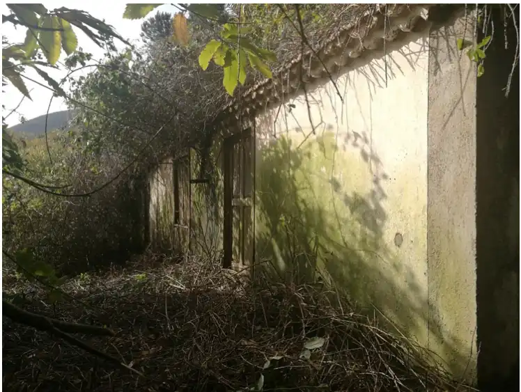 Exterior view of Land for sale in Puntallana