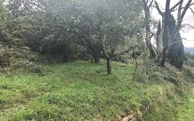 Terreno rustico in vendita a Camino DE LOS CIERROS-CALDONES, imagen 12